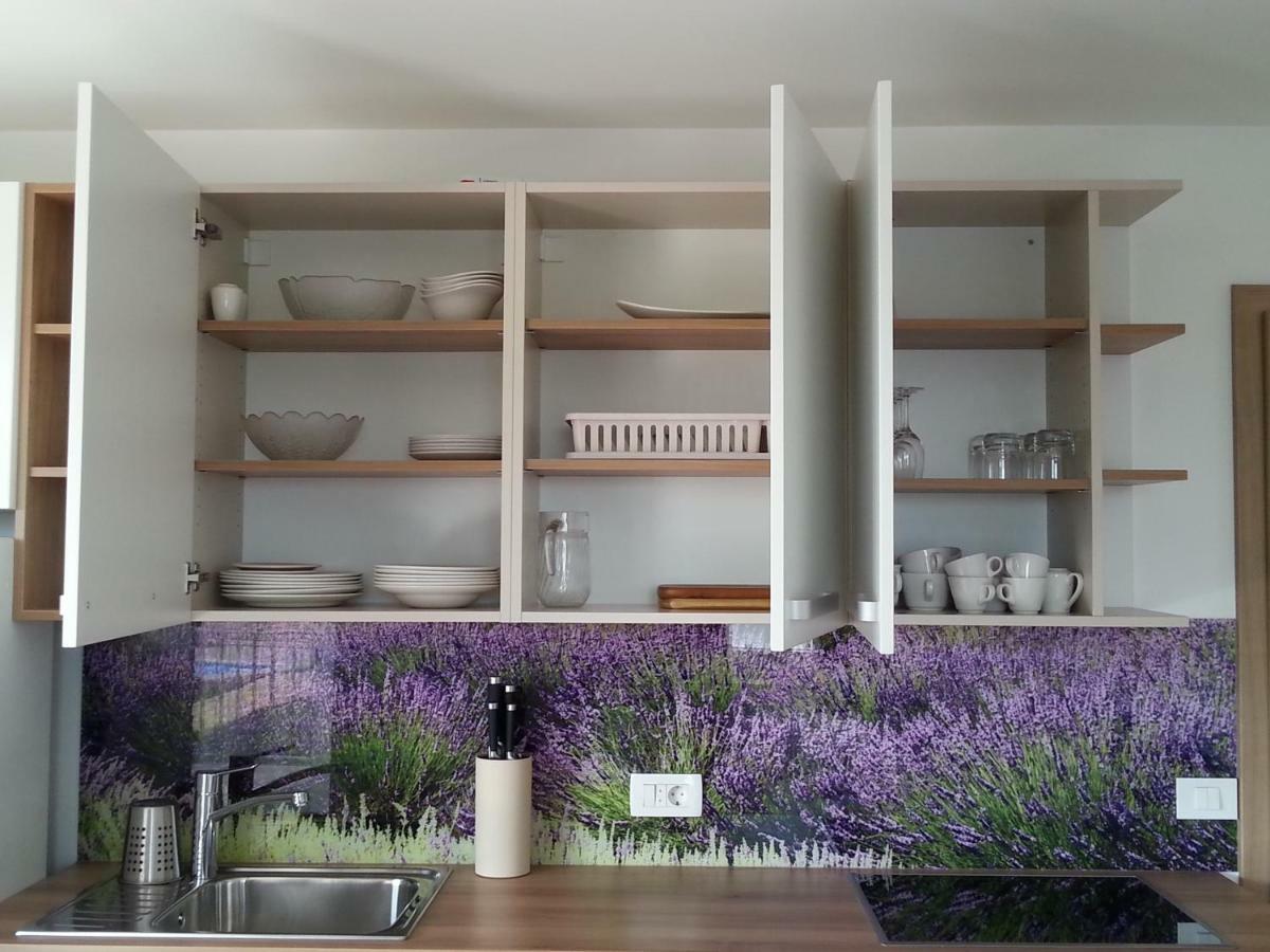 Summer Delight Apartments Savudrija Εξωτερικό φωτογραφία